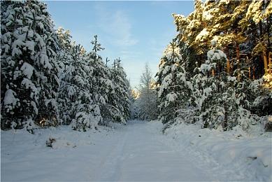 E3 2021：强化改进版《吸血鬼莱恩：背叛》即将上市